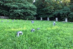 16_ip_20180712_IMG_2208