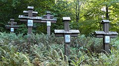 Cmentarz_Wojenny_049_Blechnarka