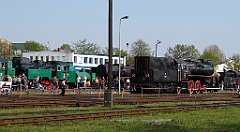 5536_Wolsztyn