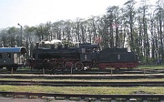 5561_Wolsztyn