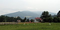 6362_widoczek
