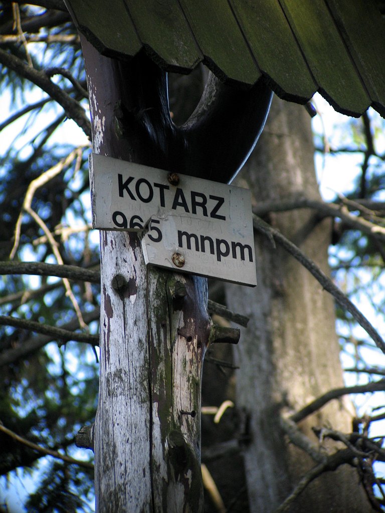 12170_Kotarz.JPG