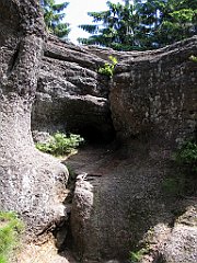 12032_Malinowska_Skala