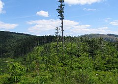 12058_Zielony_Kopiec