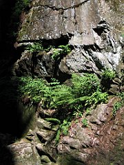 12295_Wodospad_Kamienczyka