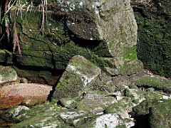 12303_Wodospad_Kamienczyka