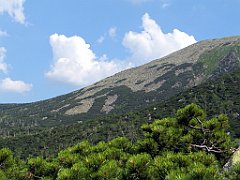 12727_Wielki_Szyszak