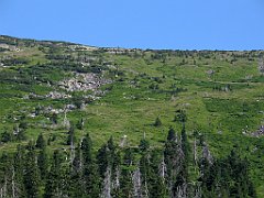 12751_Mokre_Rozdroze