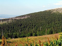 12763_Borowczane_Skaly