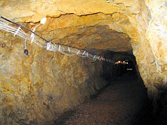 13203_Obiekt_Wlodarz