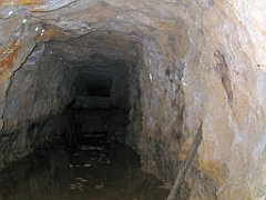 13275_Obiekt_Wlodarz