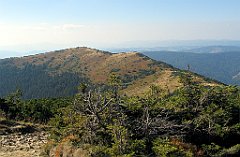 15228_Mala_Babia_Gora