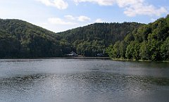 IMG_24137_cr