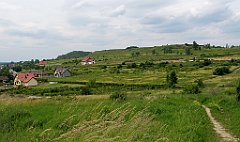 IMG_29128_cr