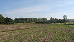 IMG_29780_cr