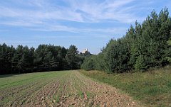 IMG_29789_cr