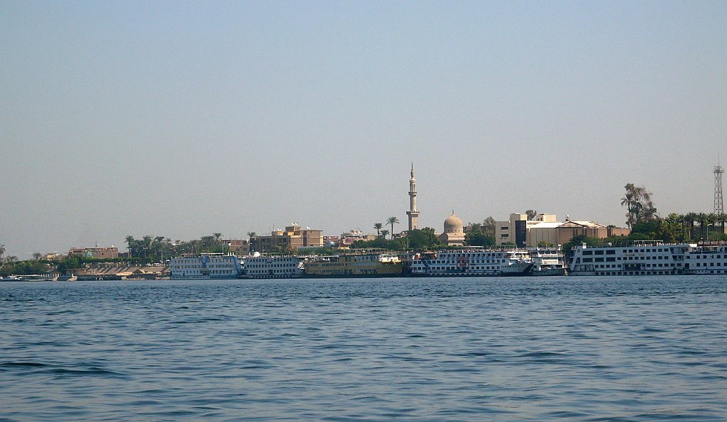 P1040103_cr.jpg