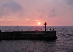 IMG_x14095_cr
