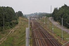 IMG_x17289_cr