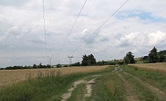 IMG_x17499_cr