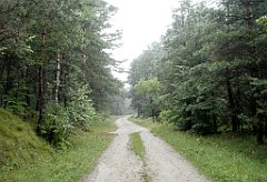 IMG_x17567_X44_P07290004_cr