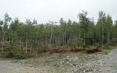 IMG_x17567_X44_P07290010_cr