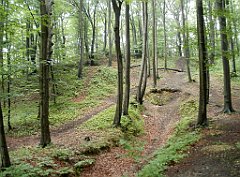 IMG_x17567_X44_P07290038_cr