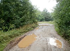 IMG_x17567_X44_P07290045_cr