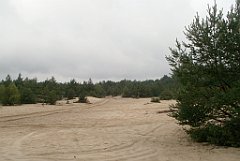 IMG_x17567_X44_P07290048_cr