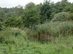 IMG_x17567_X44_P07290059_cr