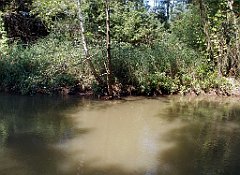 IMG_x18064_X44_P09010477_cr