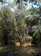 IMG_x18064_X44_P09010481_cr