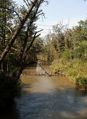 IMG_x18064_X44_P09010501_cr