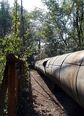 IMG_x18064_X44_P09010502_cr