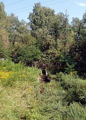 IMG_x18064_X44_P09010506_cr