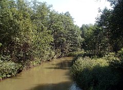 IMG_x18064_X44_P09010507_cr