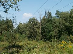 IMG_x18064_X44_P09010511_cr