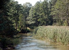 IMG_x18064_X44_P09010518_cr