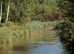 IMG_x18064_X44_P09010525_cr