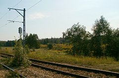 IMG_x18064_X44_P09010543_cr