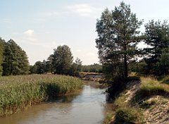 IMG_x18064_X44_P09010545_cr