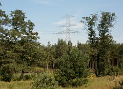 IMG_x18064_X44_P09010550_cr