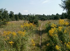 IMG_x18064_X44_P09010552_cr