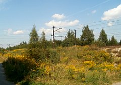 IMG_x18064_X44_P09010557_cr