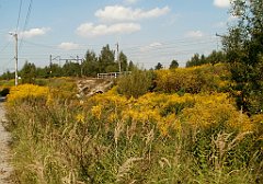 IMG_x18064_X44_P09010559_cr