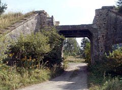 IMG_x18064_X44_P09010572_cr