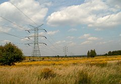 IMG_x18064_X44_P09010596_cr