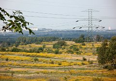 IMG_x18064_X44_P09010612_cr