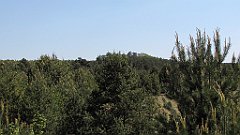 IMG_x24377_cr