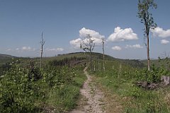 IMG_x24960_cr